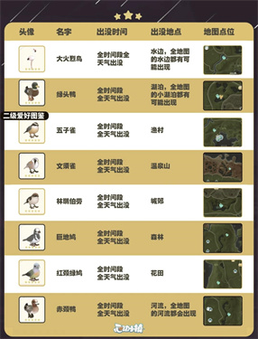 自然探险家速递！《心动小镇》最新推出的五子雀观察手册正式上线