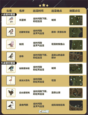 自然探险家速递！《心动小镇》最新推出的五子雀观察手册正式上线