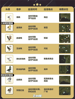自然探险家速递！《心动小镇》最新推出的五子雀观察手册正式上线