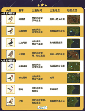 自然探险家速递！《心动小镇》最新推出的五子雀观察手册正式上线