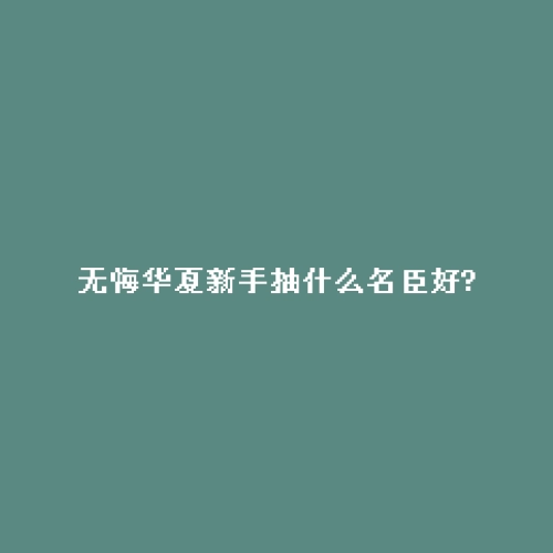 无悔华夏新手抽什么名臣好?