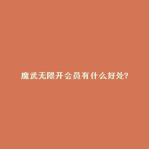 魔武无限开会员有什么好处?