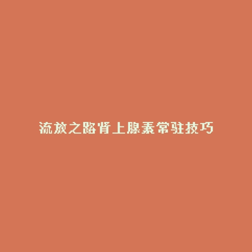 流放之路肾上腺素常驻技巧