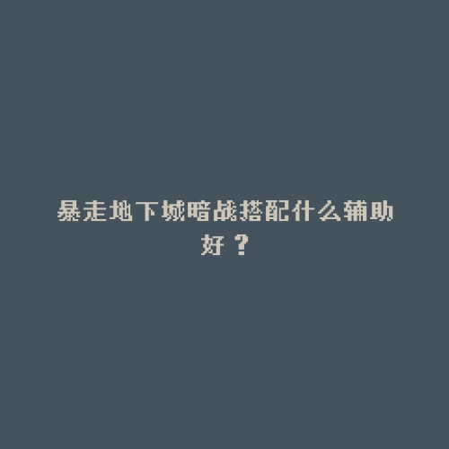 暴走地下城暗战搭配什么辅助好？